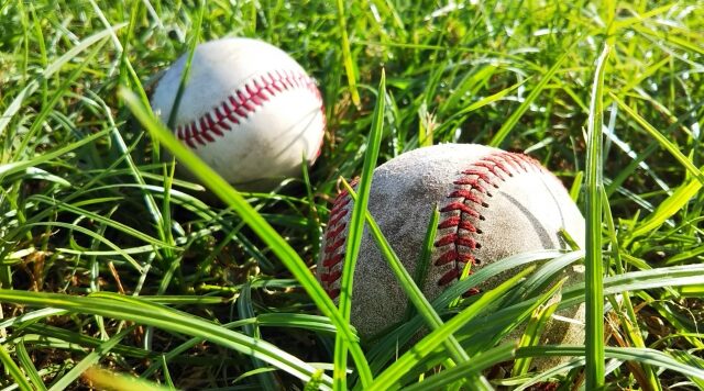 第93回センバツ選抜高校野球大会2021アルプス観客席での観戦報告