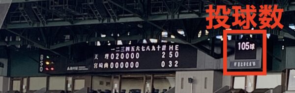 第93回センバツ選抜高校野球大会21アルプス観客席での観戦報告 野球魂